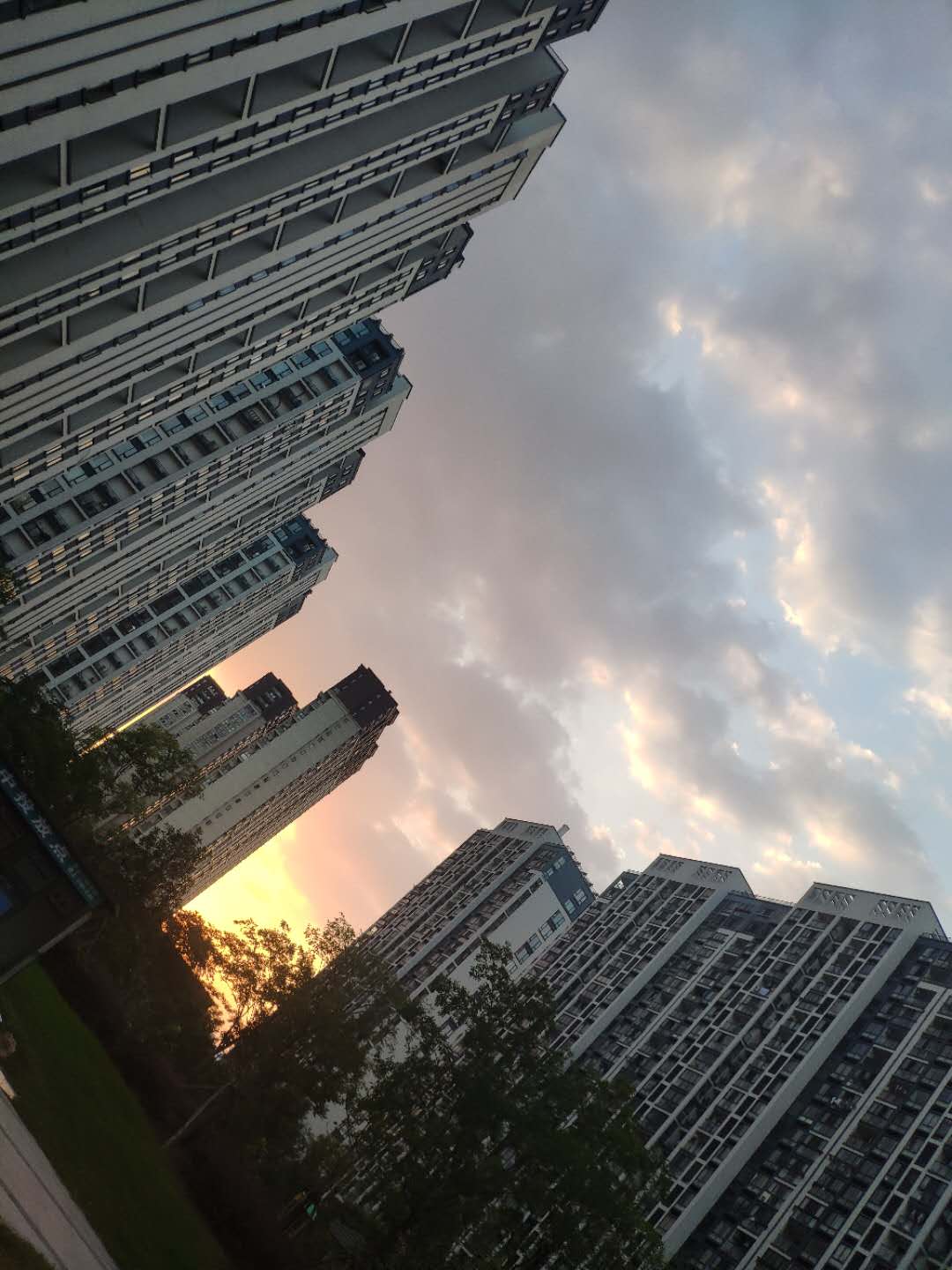 新的住的地方 新的住的地方