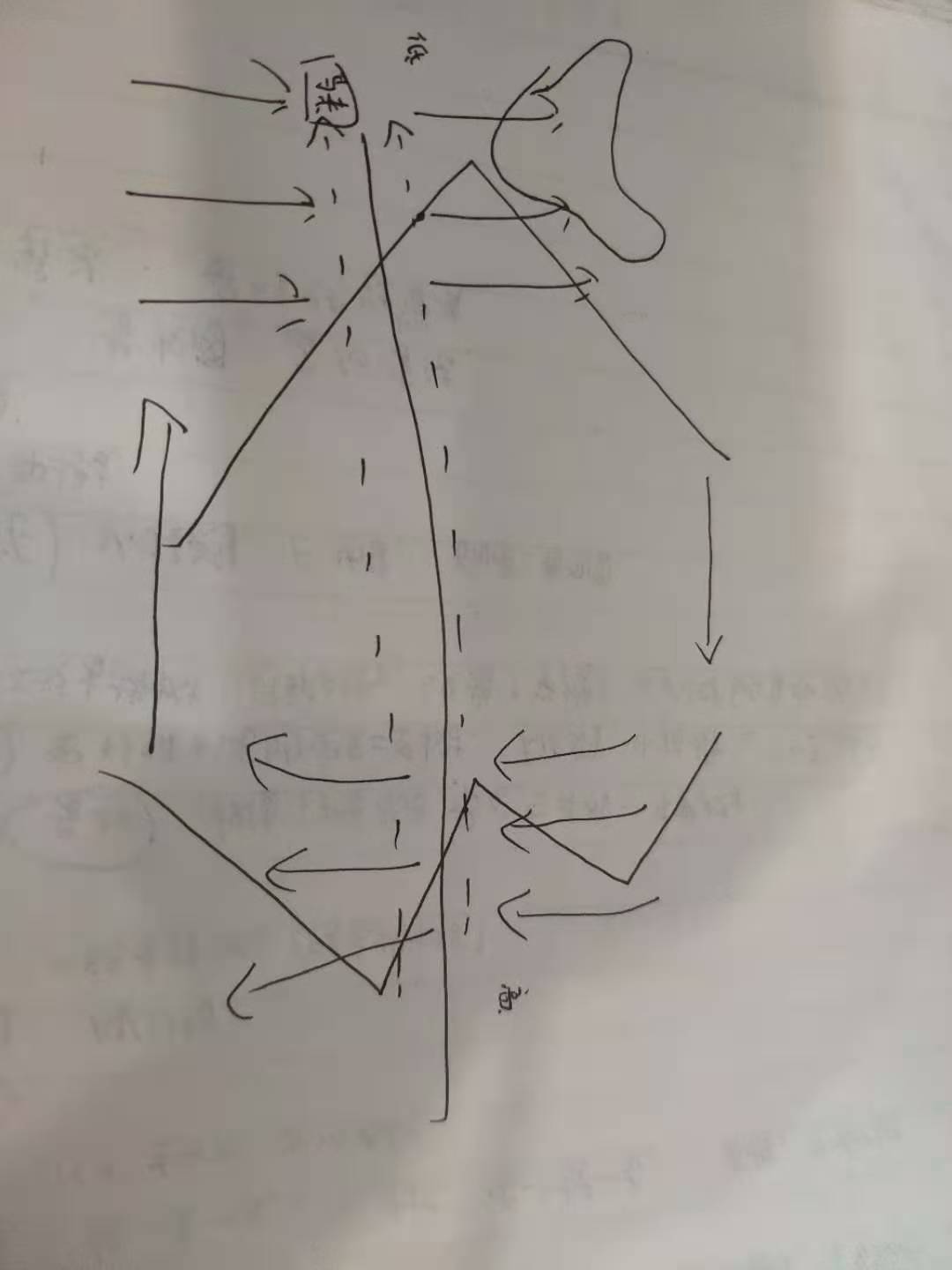 请输入图片描述
