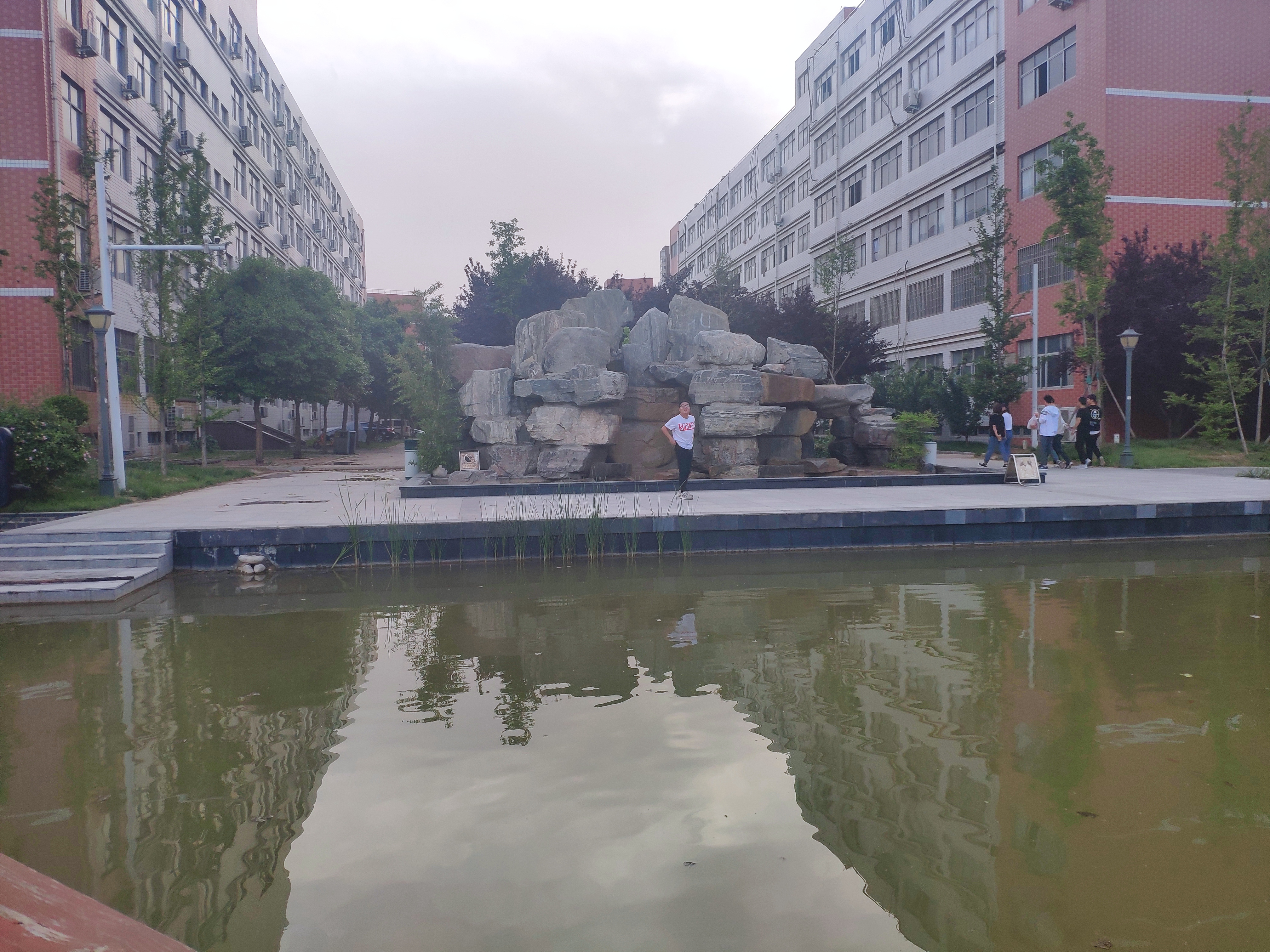 IMG_20190512_175233.jpg