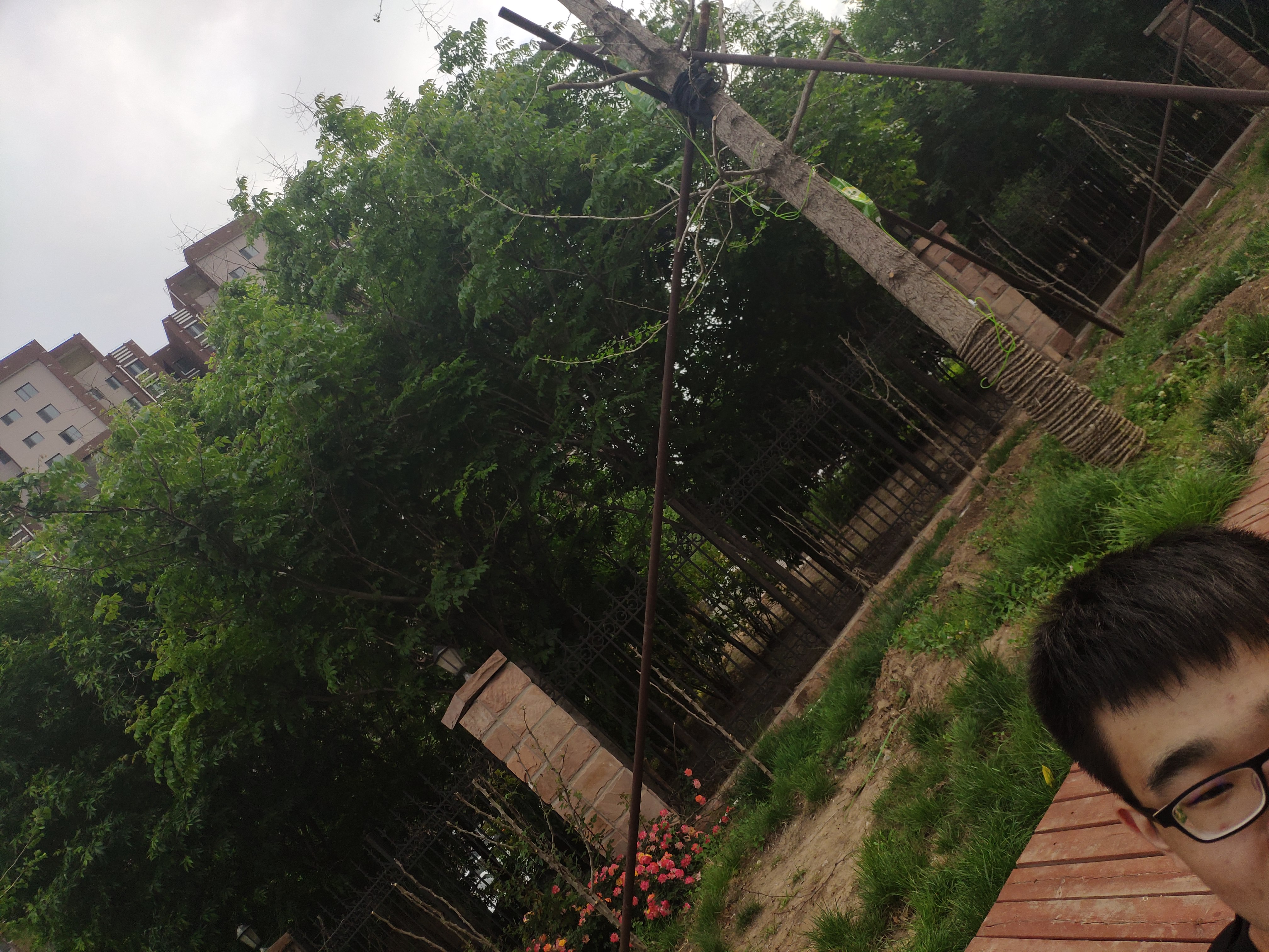 IMG_20190512_171108_BURST64.jpg