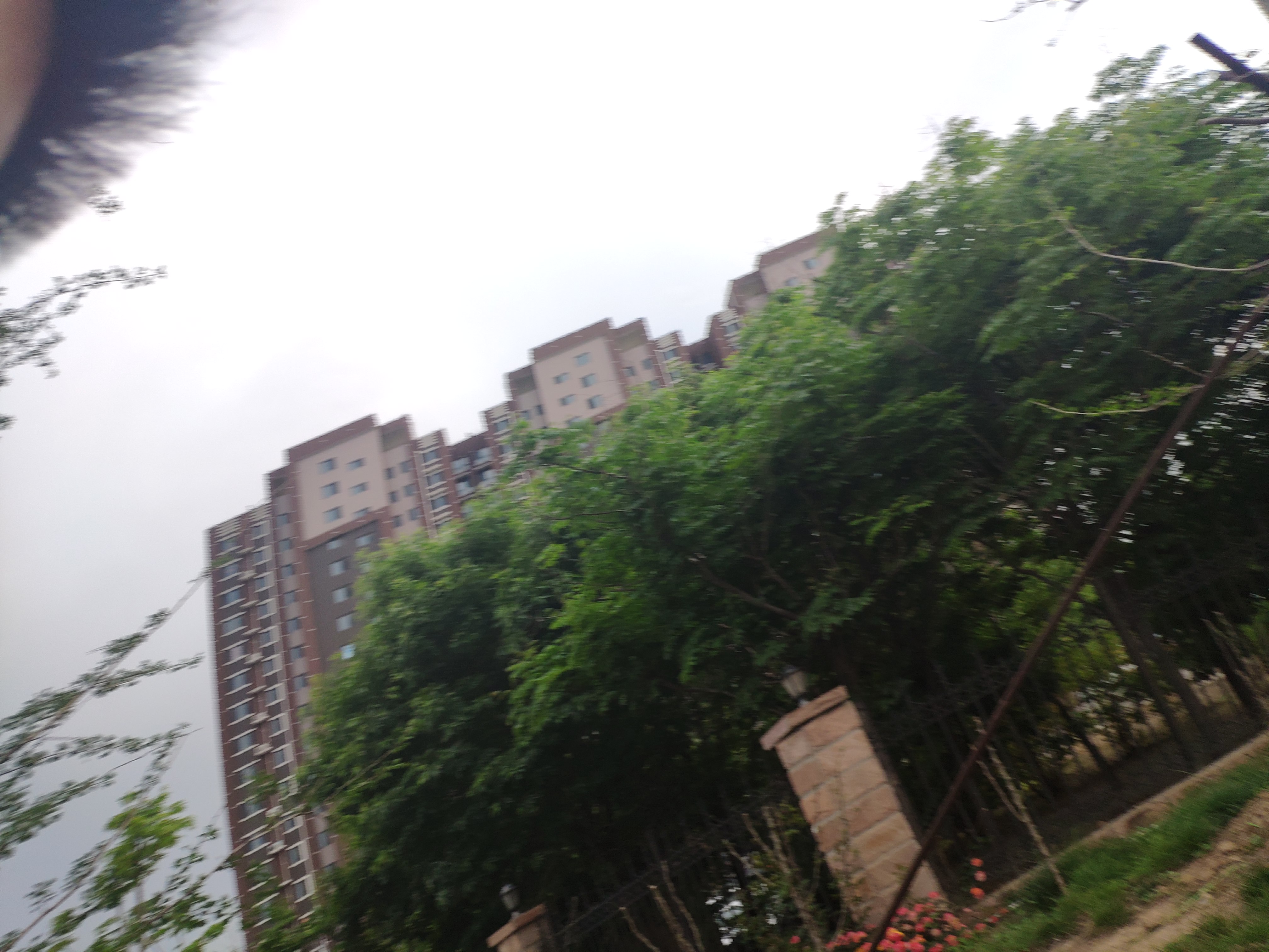 IMG_20190512_171108_BURST63.jpg