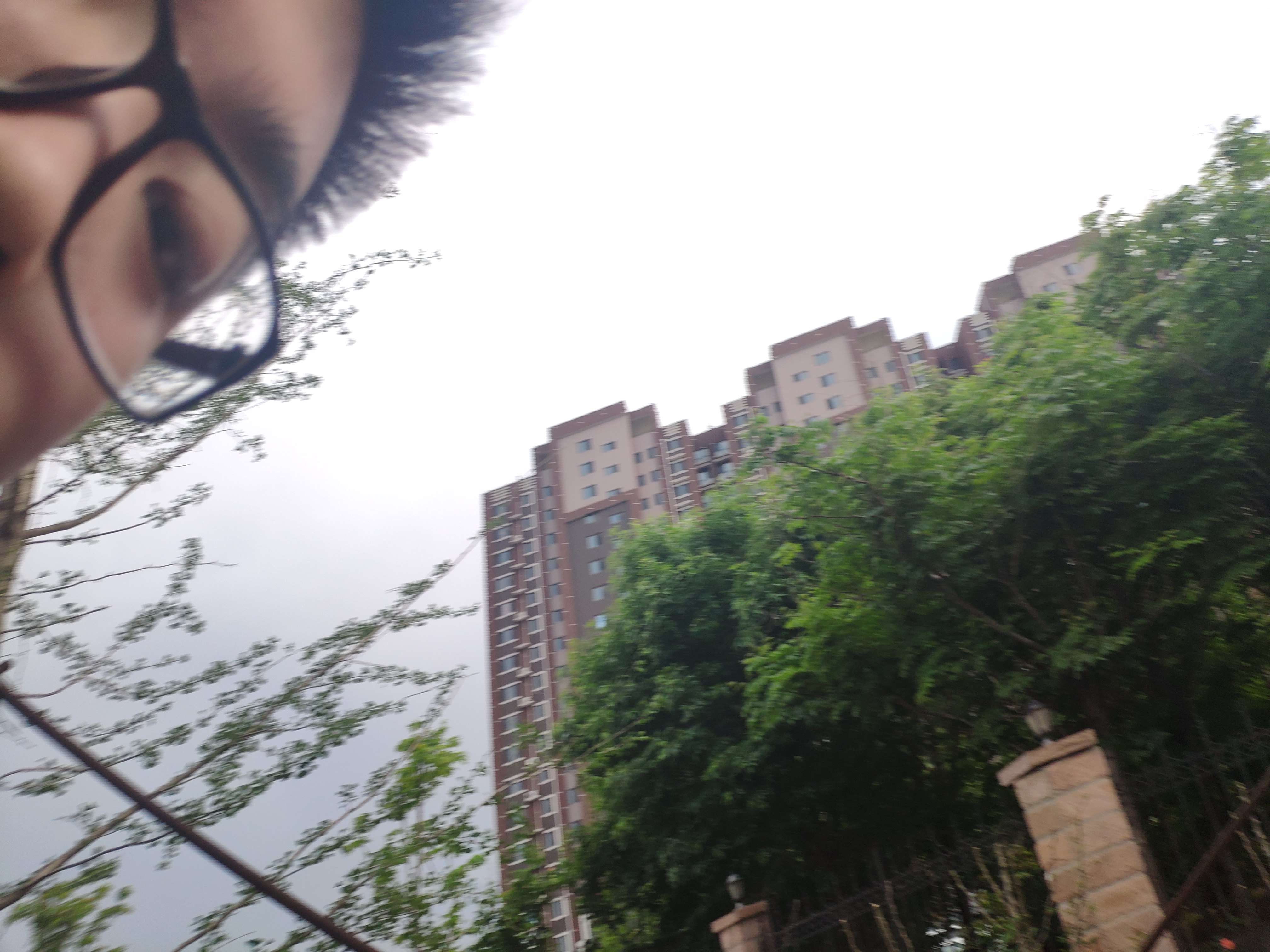 IMG_20190512_171108_BURST62.jpg