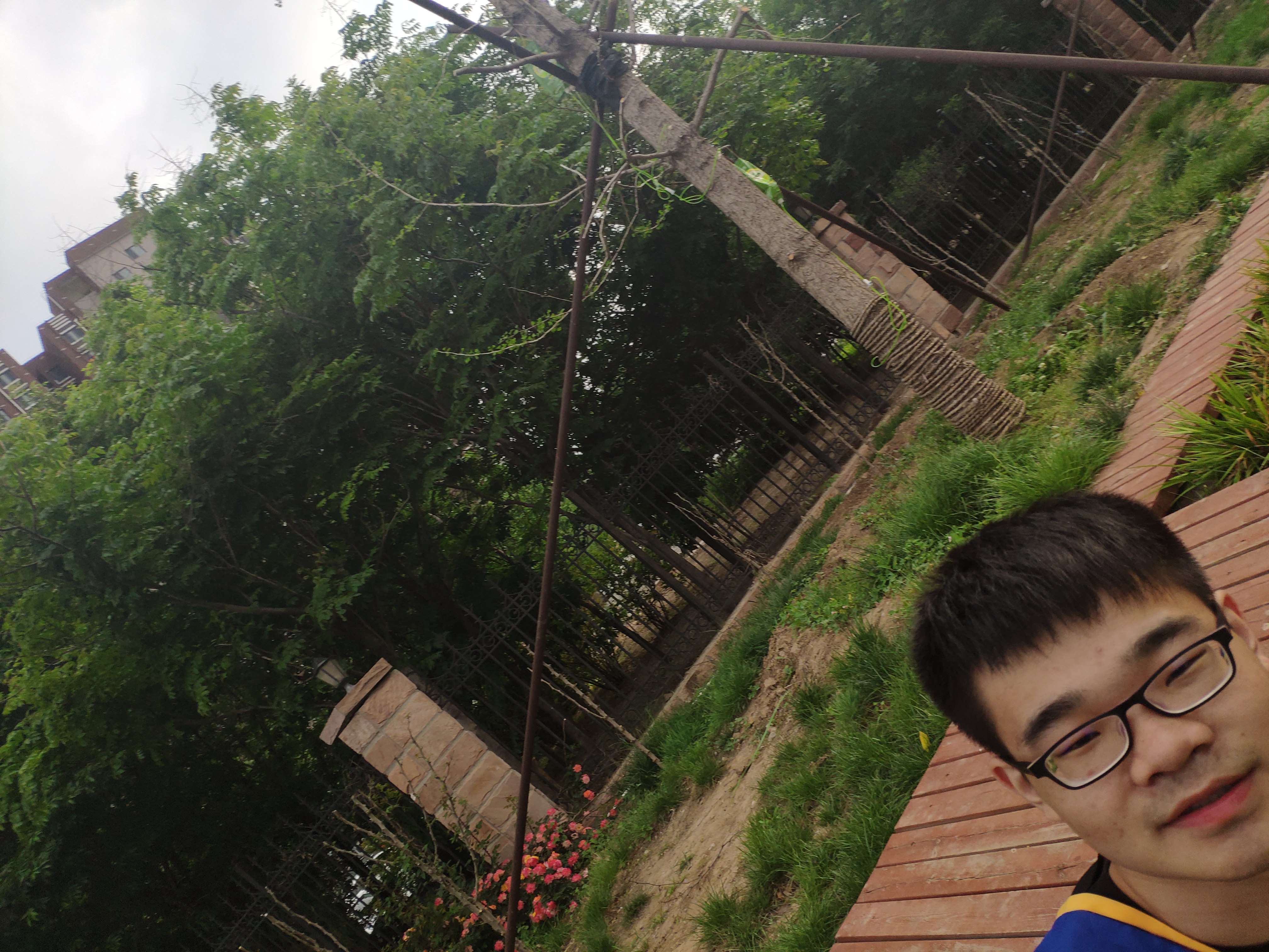 IMG_20190512_171108_BURST66.jpg