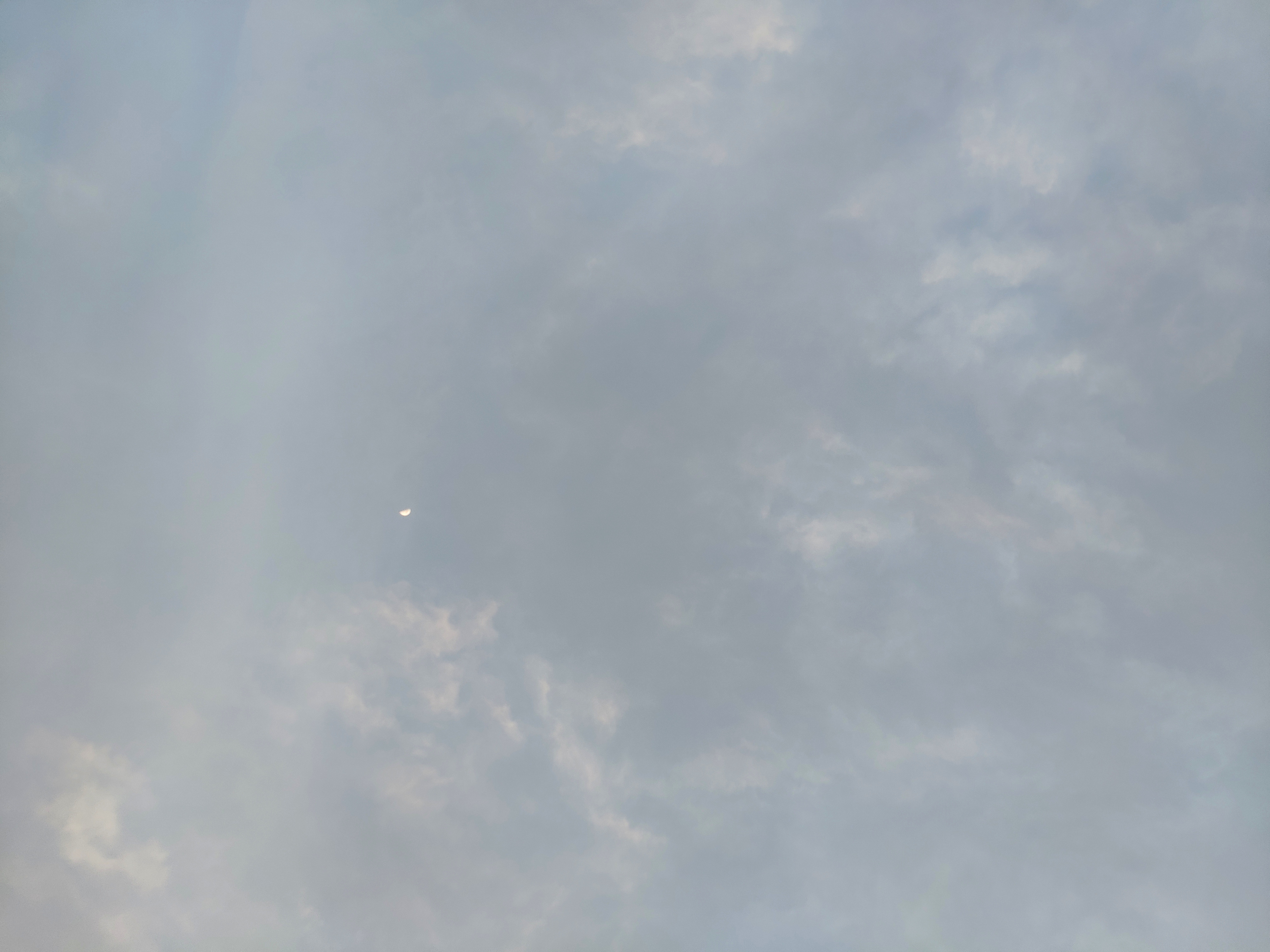 IMG_20190512_190729.jpg