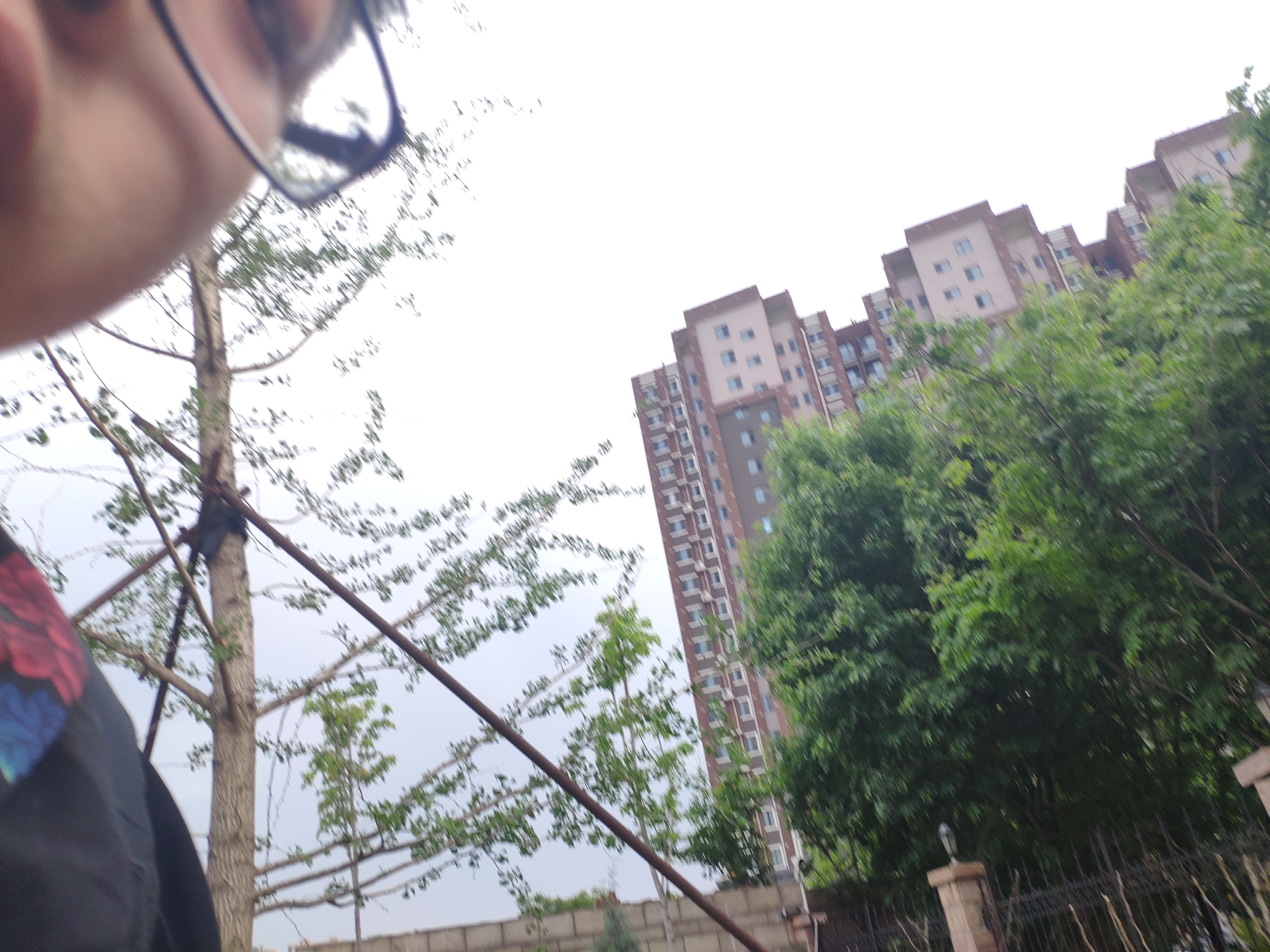 IMG_20190512_171108_BURST60.jpg
