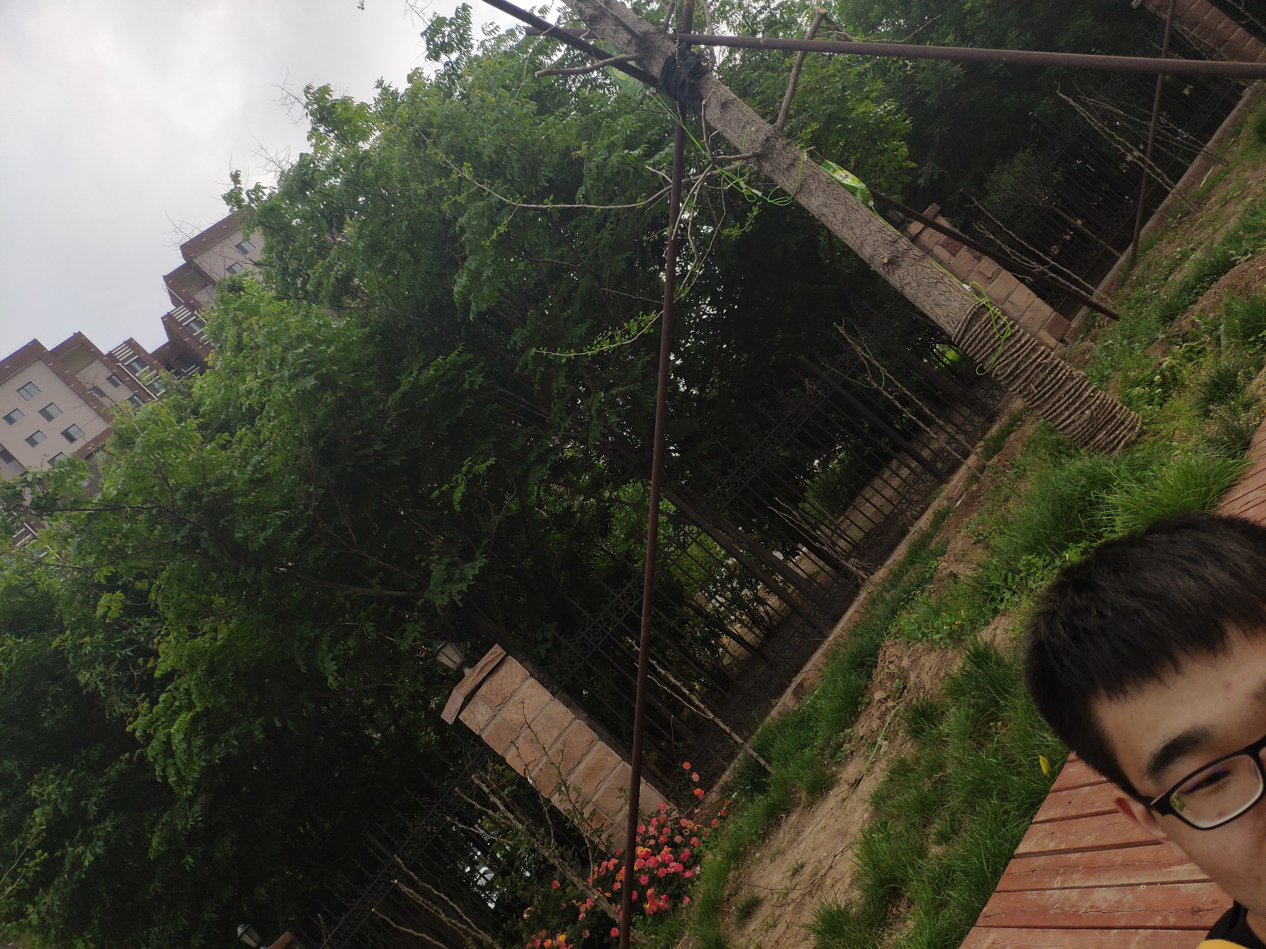 IMG_20190512_171108_BURST65.jpg